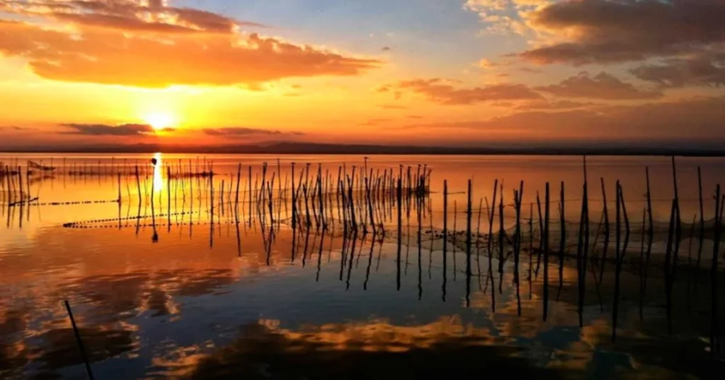 10 cosas que hacer gratis en valencia el parque de la albufera 