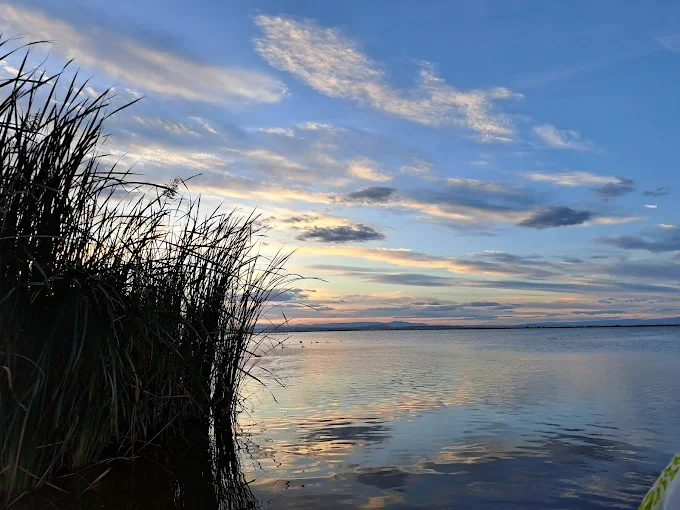 la albufera